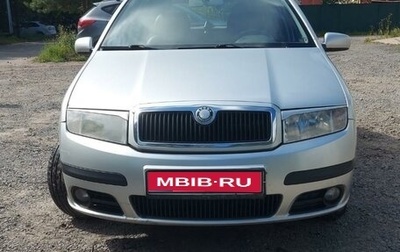 Skoda Fabia I, 2007 год, 460 000 рублей, 1 фотография