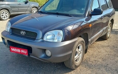 Hyundai Santa Fe III рестайлинг, 2004 год, 630 000 рублей, 1 фотография