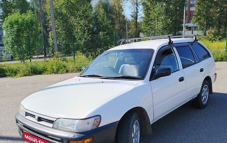 Toyota Corolla, 1998 год, 447 000 рублей, 1 фотография