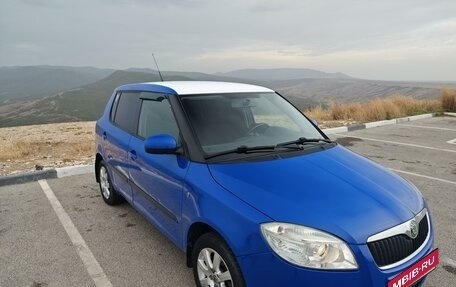 Skoda Fabia II, 2010 год, 880 000 рублей, 1 фотография