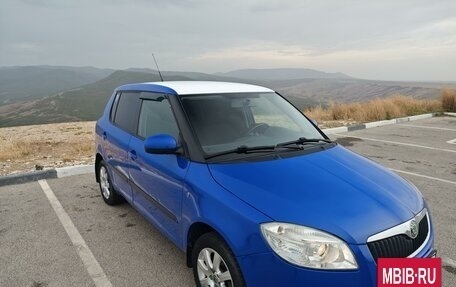 Skoda Fabia II, 2010 год, 880 000 рублей, 24 фотография