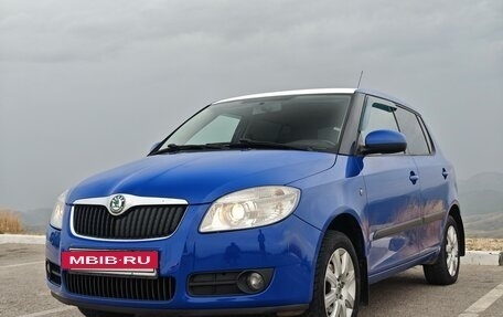 Skoda Fabia II, 2010 год, 880 000 рублей, 26 фотография