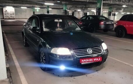 Volkswagen Passat B5+ рестайлинг, 2002 год, 350 000 рублей, 8 фотография