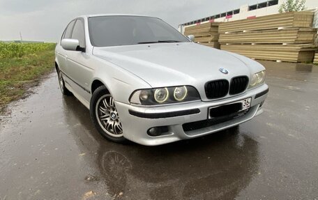 BMW 5 серия, 2002 год, 715 000 рублей, 4 фотография