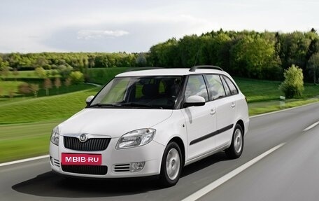 Skoda Fabia II, 2008 год, 697 000 рублей, 1 фотография