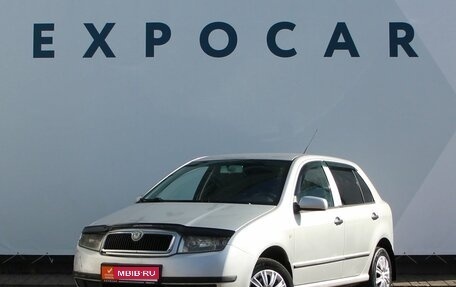 Skoda Fabia I, 2003 год, 397 000 рублей, 1 фотография