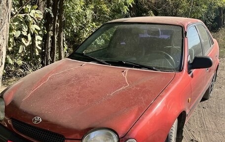 Toyota Corolla, 1998 год, 310 000 рублей, 6 фотография