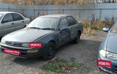 Toyota Corolla, 1992 год, 137 000 рублей, 5 фотография