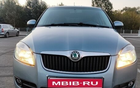 Skoda Fabia II, 2010 год, 890 000 рублей, 2 фотография