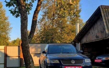 Volkswagen Passat B5+ рестайлинг, 2002 год, 400 000 рублей, 4 фотография