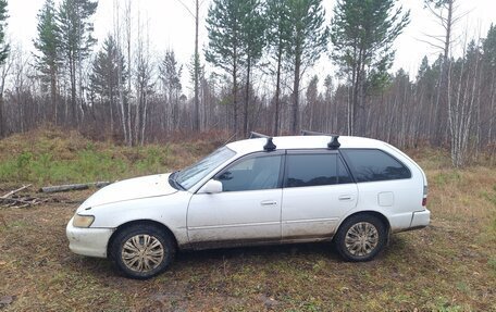 Toyota Corolla, 1998 год, 320 000 рублей, 33 фотография