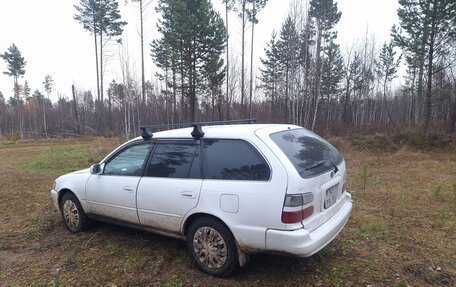 Toyota Corolla, 1998 год, 320 000 рублей, 34 фотография