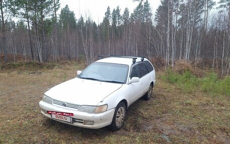 Toyota Corolla, 1998 год, 320 000 рублей, 37 фотография