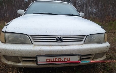 Toyota Corolla, 1998 год, 320 000 рублей, 29 фотография