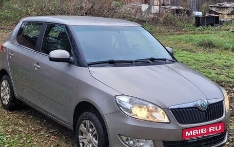 Skoda Fabia II, 2012 год, 570 000 рублей, 12 фотография