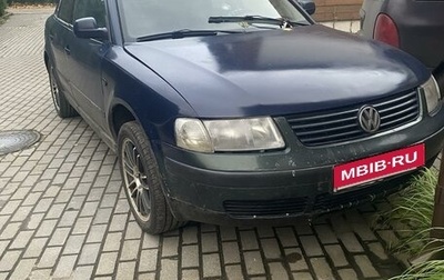 Volkswagen Passat B5+ рестайлинг, 1997 год, 270 000 рублей, 1 фотография