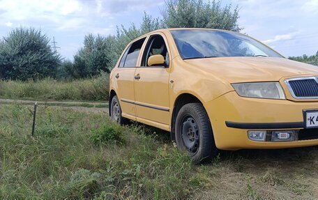 Skoda Fabia I, 2001 год, 300 000 рублей, 1 фотография