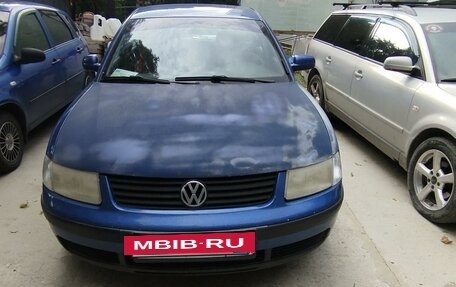 Volkswagen Passat B5+ рестайлинг, 1999 год, 370 000 рублей, 9 фотография