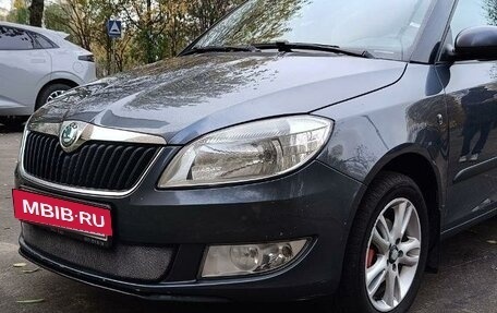 Skoda Fabia II, 2010 год, 670 000 рублей, 23 фотография