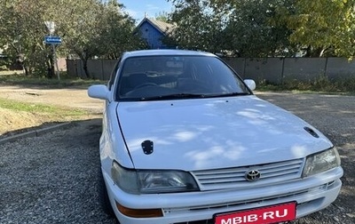 Toyota Corolla, 1991 год, 300 000 рублей, 1 фотография