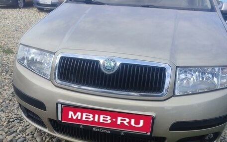 Skoda Fabia I, 2005 год, 650 000 рублей, 1 фотография