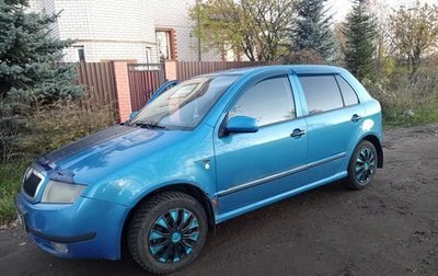 Skoda Fabia I, 2001 год, 300 000 рублей, 1 фотография