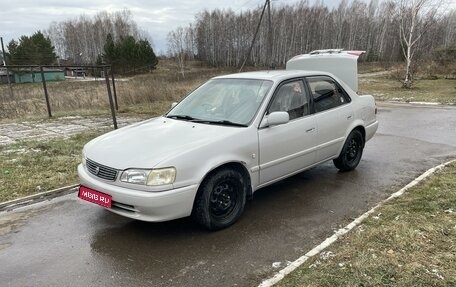 Toyota Corolla, 1998 год, 450 000 рублей, 1 фотография