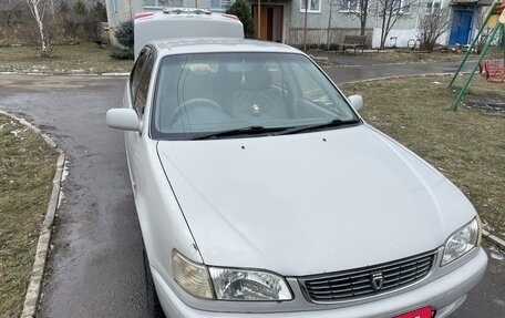 Toyota Corolla, 1998 год, 450 000 рублей, 3 фотография