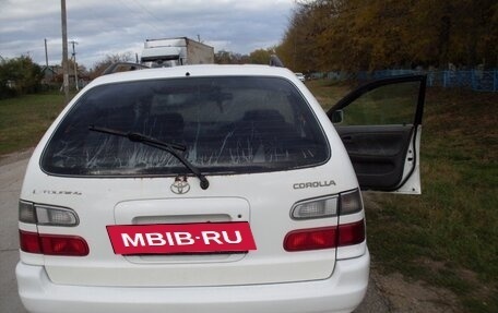 Toyota Corolla, 1998 год, 339 999 рублей, 3 фотография