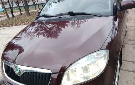 Skoda Fabia II, 2010 год, 650 000 рублей, 8 фотография