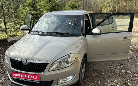 Skoda Fabia II, 2013 год, 820 000 рублей, 3 фотография