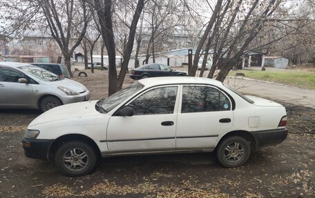 Toyota Corolla, 1994 год, 180 000 рублей, 2 фотография