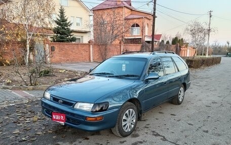 Toyota Corolla, 1996 год, 315 000 рублей, 1 фотография