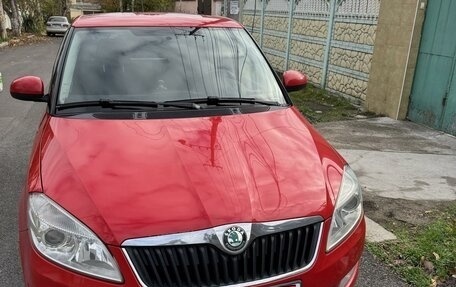 Skoda Fabia II, 2011 год, 980 000 рублей, 1 фотография