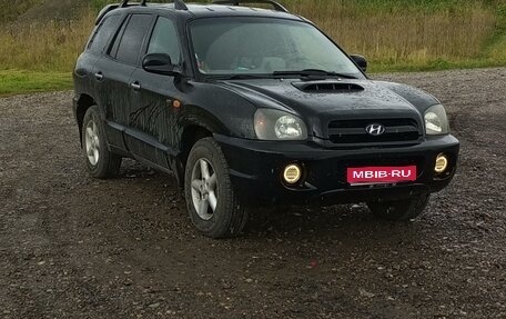 Hyundai Santa Fe III рестайлинг, 2002 год, 350 000 рублей, 1 фотография