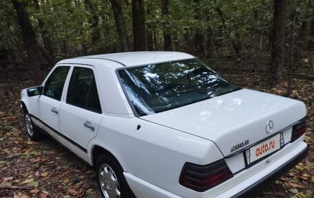 Mercedes-Benz W124, 1988 год, 250 000 рублей, 1 фотография