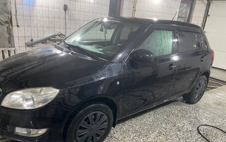 Skoda Fabia II, 2013 год, 450 000 рублей, 3 фотография