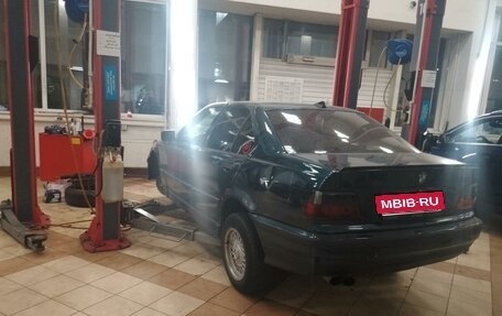 BMW 3 серия, 1997 год, 230 000 рублей, 2 фотография