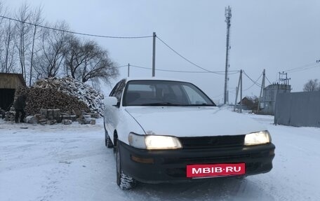 Toyota Corolla, 1997 год, 265 000 рублей, 5 фотография