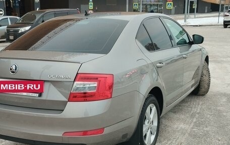 Skoda Octavia, 2017 год, 2 100 000 рублей, 4 фотография