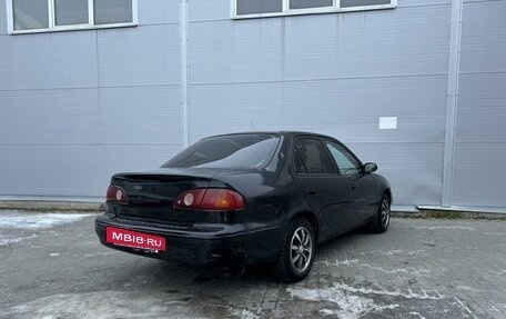 Toyota Corolla, 2001 год, 195 000 рублей, 6 фотография