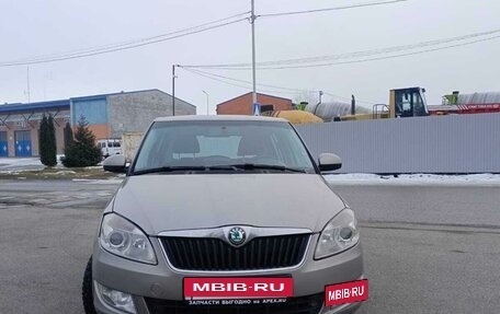 Skoda Fabia II, 2012 год, 690 000 рублей, 11 фотография