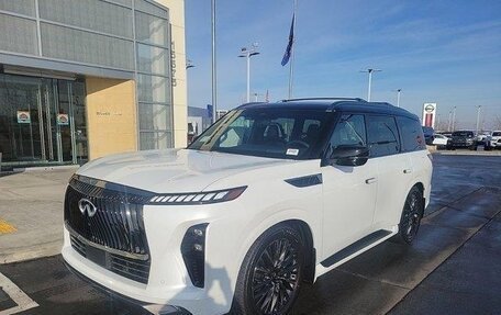 Infiniti QX80, 2024 год, 18 000 000 рублей, 1 фотография