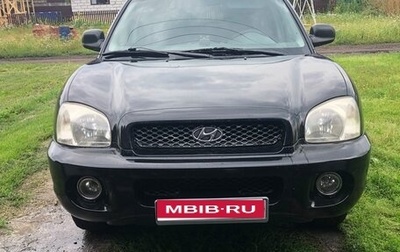 Hyundai Santa Fe III рестайлинг, 2001 год, 490 000 рублей, 1 фотография
