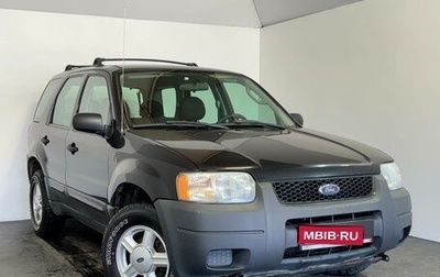 Ford Escape II, 2003 год, 449 000 рублей, 1 фотография