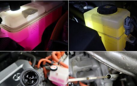 Lexus NX I, 2020 год, 3 372 612 рублей, 7 фотография