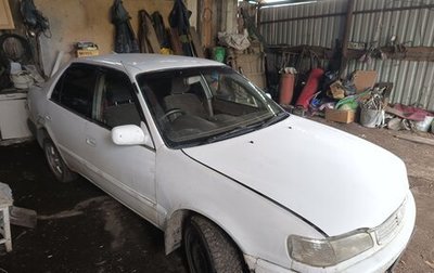Toyota Corolla, 1998 год, 180 000 рублей, 1 фотография