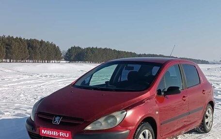 Peugeot 307 I, 2004 год, 175 000 рублей, 1 фотография