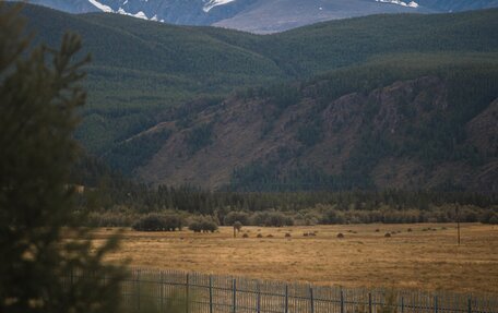 Toyota Harrier, 1999 год, 800 000 рублей, 2 фотография