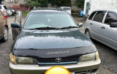 Toyota Corolla, 1999 год, 300 000 рублей, 1 фотография